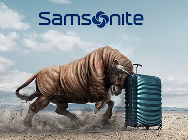 Samsonite Luggage